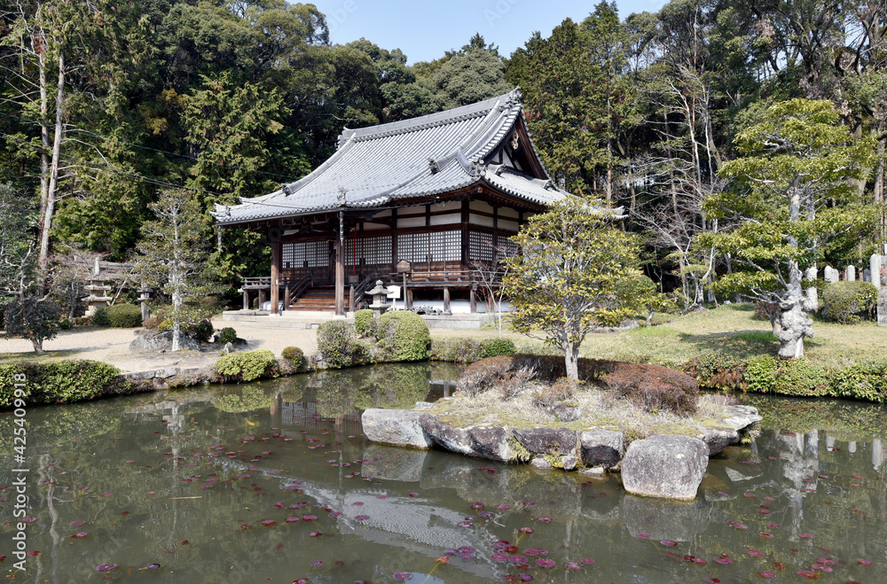 大御堂観音寺 庭園の池と本堂 京都府京田辺市 大御堂観音寺 庭園の池と本堂 京都府京田辺市
