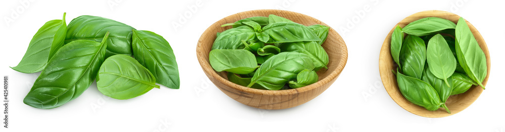 Fresh basil leaf isolated on white background with clipping path and full depth of field. Top view. Flat lay, Set or collection Fresh basil leaf isolated on white background with clipping path and full depth of field. Top view. Flat lay, Set or collection