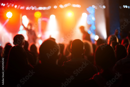 Photo of many people enjoying rock concert in nightclub © teksomolika
