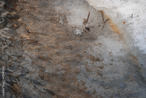 A deep puddle in the snow with melted water. A wide and deep puddle formed in the snow. Drops of water drip into the puddle  creating waves on its surface. Last year s grass can be seen at the bottom 