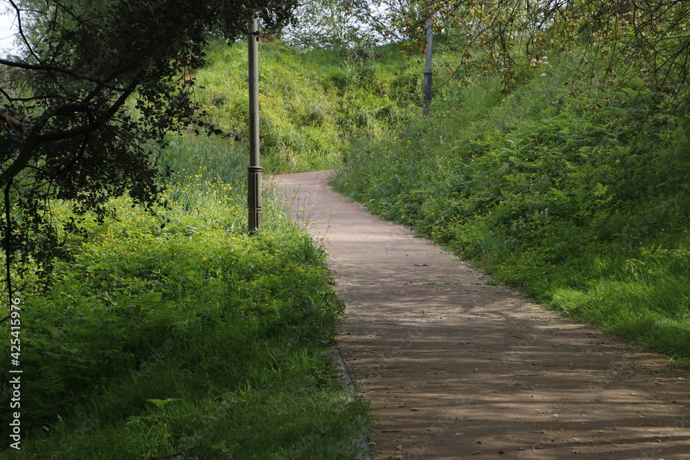 Path in the woods Path in the woods