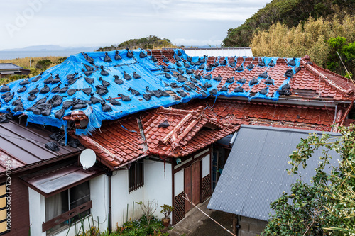 台風の通過により屋根に損傷を受けた家屋、房総半島 photo