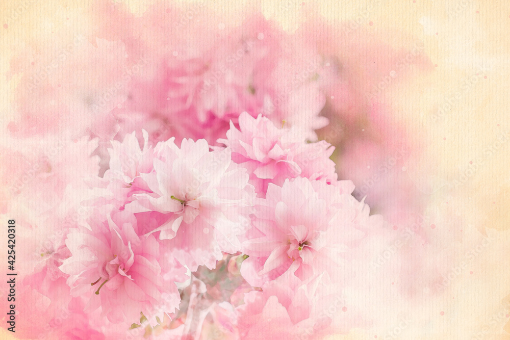 Obraz Sakura akwarela wzór różowe kwiaty kolorowa ilustracja