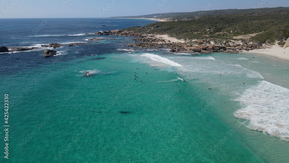 Group of surfers floating close to coast. One taking wave in turquoise water aerial shot in Margaret river, Australia.