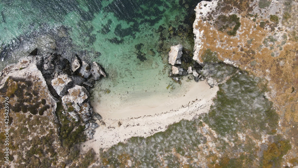 aerial top down view of deserted bay with turquoise ocean water 2 sea lions in WA aerial top down view of deserted bay with turquoise ocean water 2 sea lions in WA