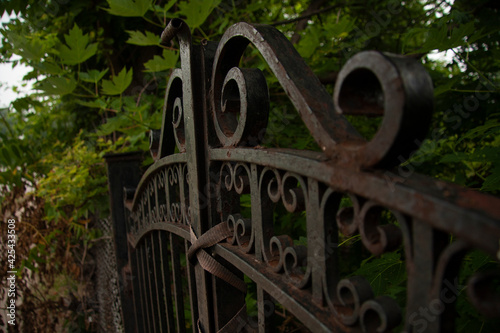 Old steel gate