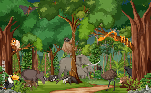 Wild animal cartoon character in the forest scene