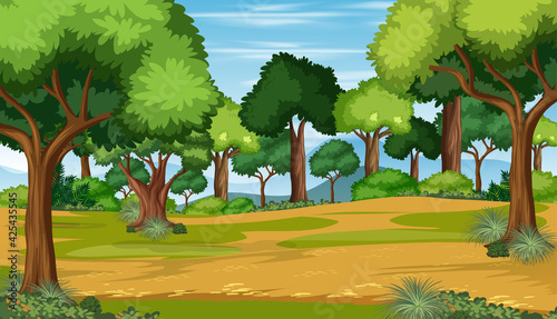 Nature outdoor forest background
