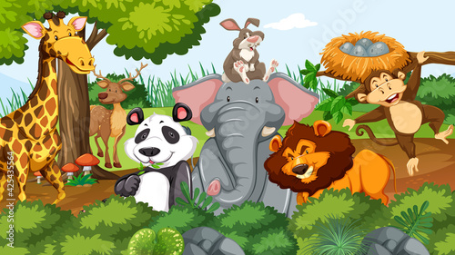 Wild animals in the jungle #425435564