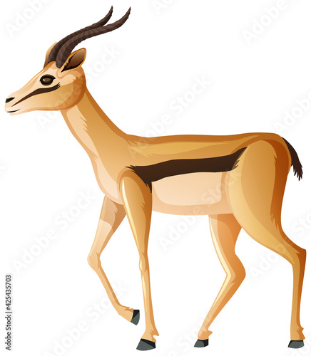 Impala in walking position on white background