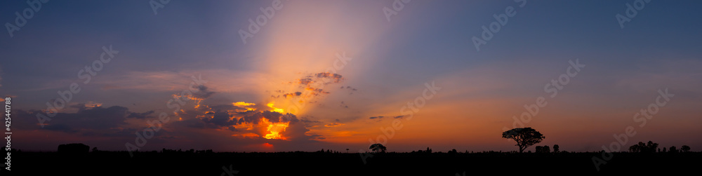 Panorama colorful sunset with silhouette tree in africa.Tree silhouetted against a setting sun.Dark tree on open field dramatic sunrise.Typical african sunset with acacia trees in Masai Mara, Kenya