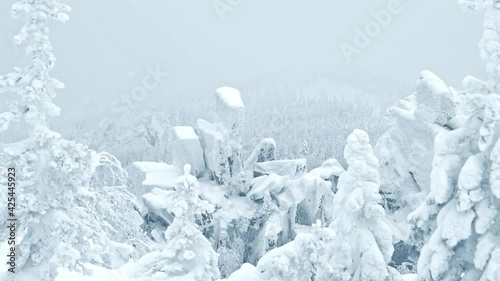 Panorama of mountain valley covered with snow. Wind carries snowflakes. Sharp of rocks look like crystals. Climbing to winter peak. In fog, can make out frozen forest