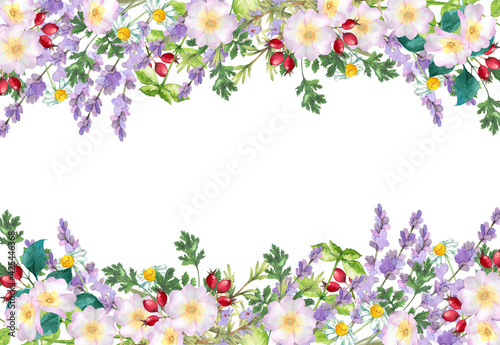 ハーブガーデンのフレーム　水彩イラスト Watercolor floral frame composition with herb flowers and leaves
