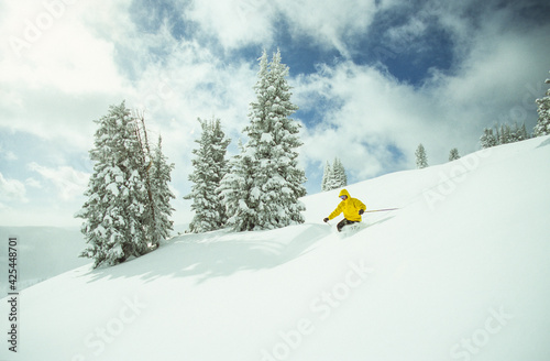 A telemark skier skiing the famous Vail Back Bowls in Colorado, USA photo