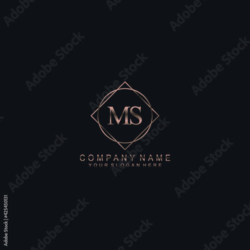 MS Initials handwritten minimalistic logo template vector