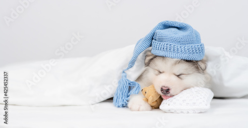 Cute alaskan malamute puppy wearing warm hat sleeps on a bed under warm blanket and hugs toy bear. Empty space for text © Ermolaev Alexandr