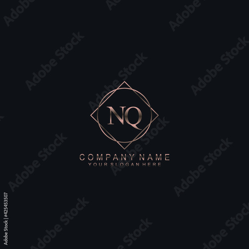 NQ Initials handwritten minimalistic logo template vector © saturnus