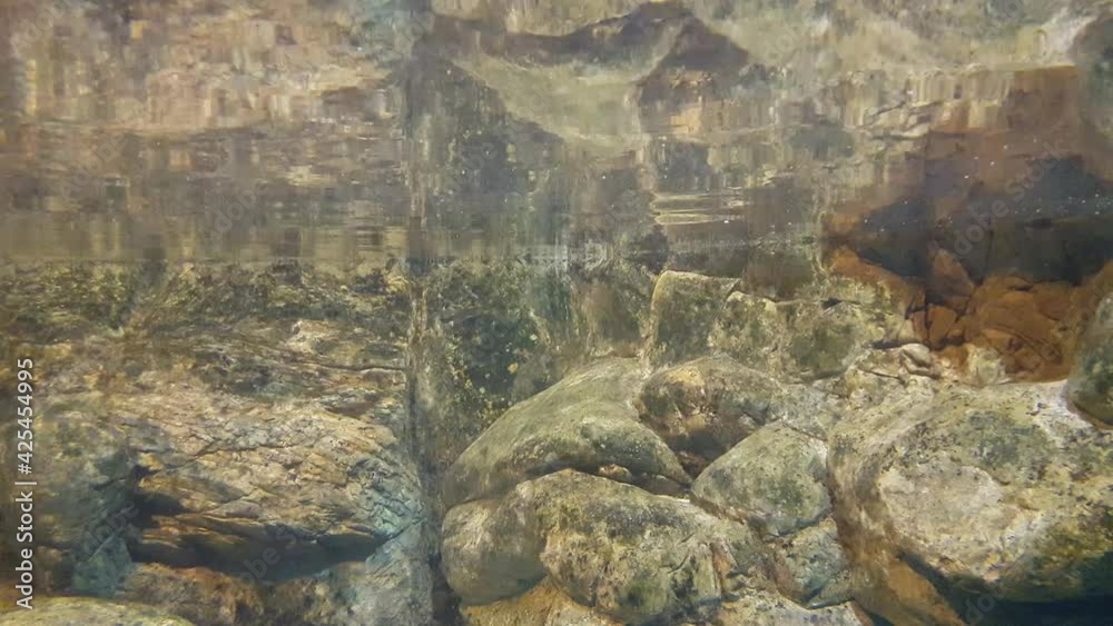 Clean river underwater with rocks. Clean river underwater with rocks.