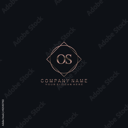 OS Initials handwritten minimalistic logo template vector