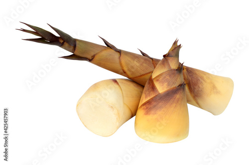 Canvastavla fresh bamboo shoot isolated on white background