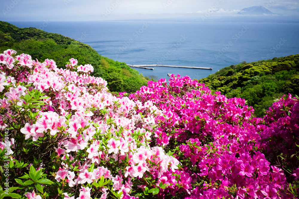 美しい五本松公園の風景（島根県松江市）