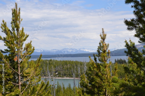 Late Spring in Yellowstone National Park: Duck Lake, Yellowstone Lake, Avalanche Peak & Top Notch Peak of the Absaroka Mountains Seen from Overlook Along Grand Loop Road