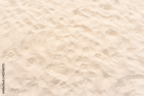 Sand texture background. Top view