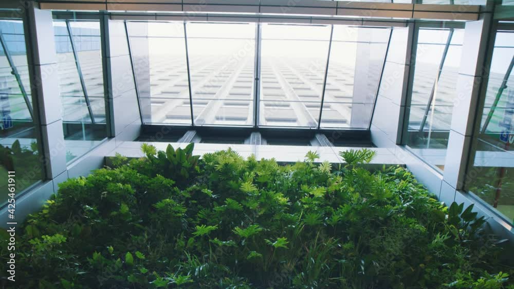 Beautiful modern architecture of atrium skylight with plants and foliage. Natural light inside office building.