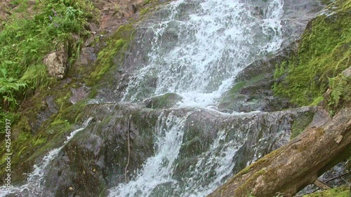 Cascading waterfall in rainy forest. Streams of water flow down stone ledges. Cliff and old log are covered with wet moss. River splashes on grass bank
