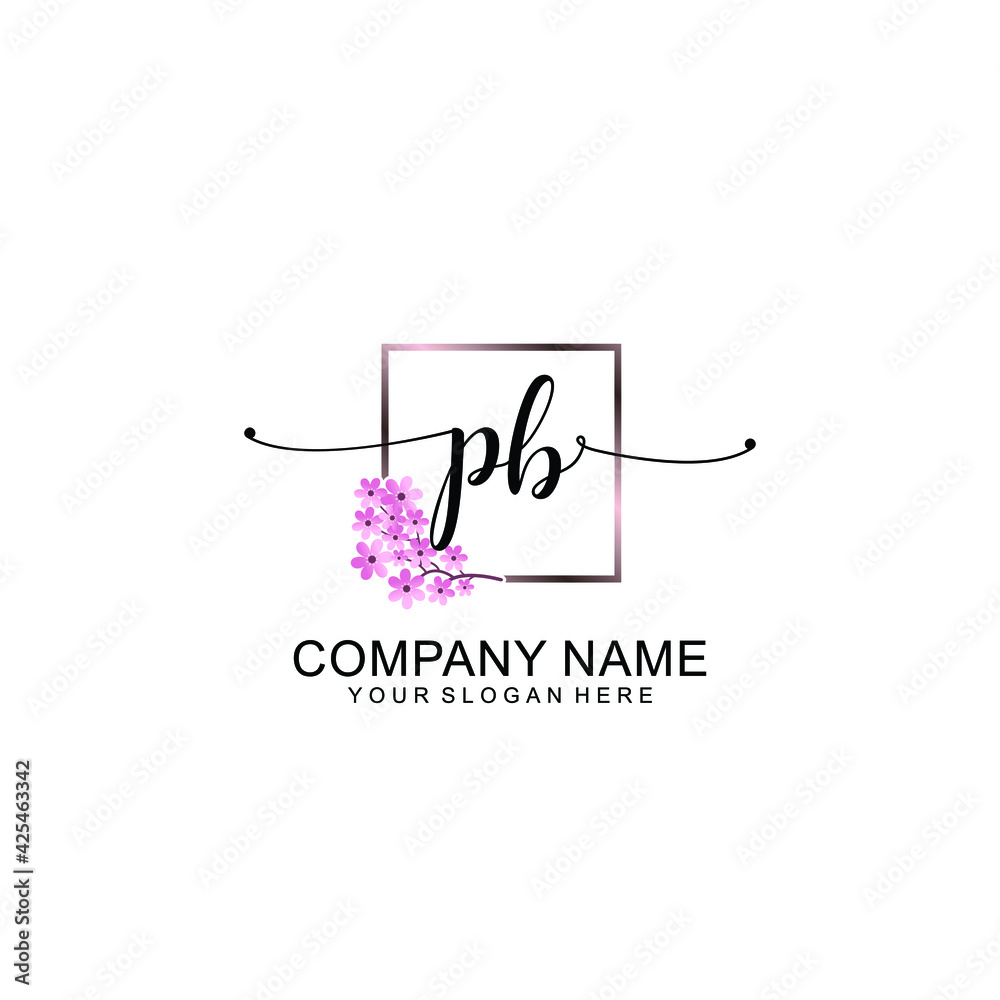 PB Initials handwritten minimalistic logo template vector