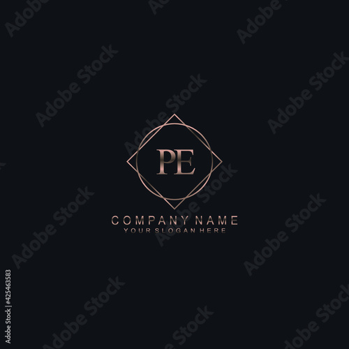 PE Initials handwritten minimalistic logo template vector