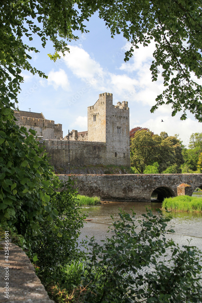 Cahir Castle and Bridge Against Blue Sky Framed by Green Foliage in Cork, Ireland