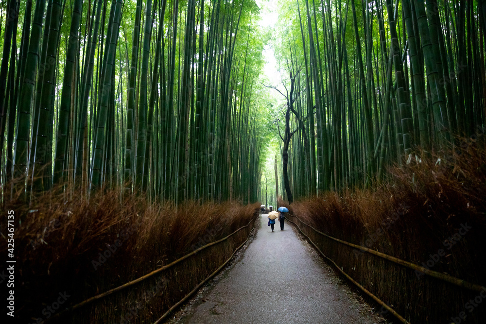 Fototapeta premium Kyoto