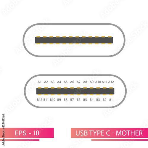 USB type C-front view of the mom connector in a realistic design. On a white background. Flat vector illustration.