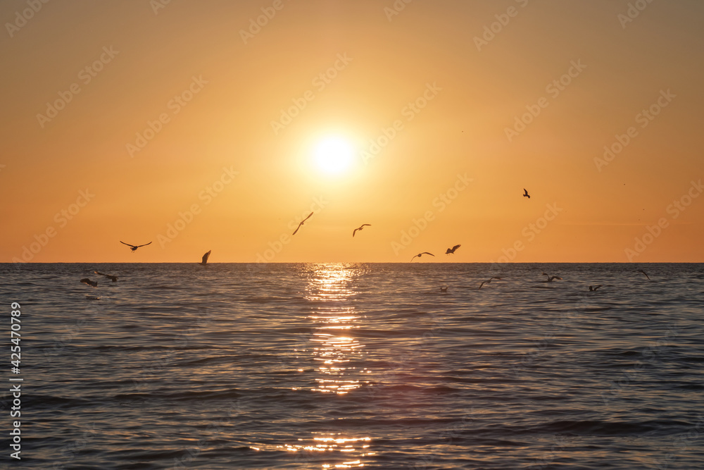 Seagulls flying above the sea, bright sun water and horizon at sunset Seagulls flying above the sea, bright sun water and horizon at sunset