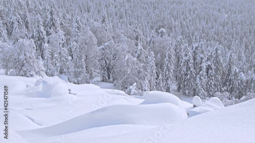 Smooth snowdrifts on hillside. Snowfall in winter forest falls vertically and smoothly. Trees are covered with frost and form background.