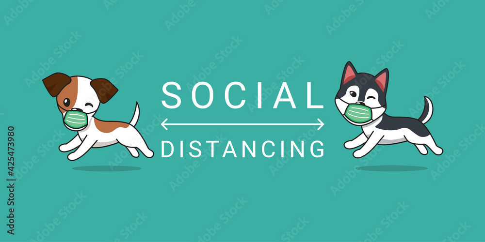 Fototapeta premium Covid-19 protection concept cartoon character jack russell terrier and siberian husky dog wearing protective face mask social distancing for design.