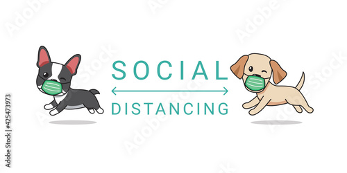 Covid-19 protection concept cartoon character boston terrier and labrador retriever dog wearing protective face mask social distancing for design.