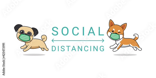 Covid-19 protection concept cartoon character pug and shiba inu dog wearing protective face mask social distancing for design.