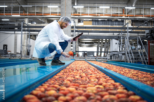 Technologist with tablet computer standing by water tank conveyers doing quality control of apple fruit production in food processing plant.