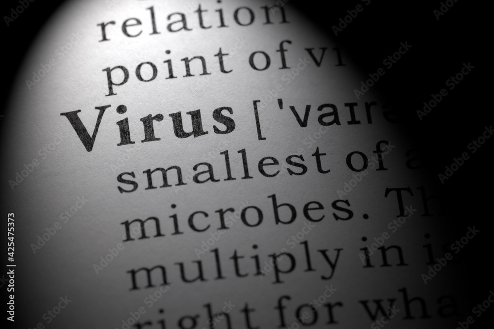 definition of virus