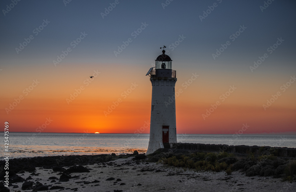 Port Fairy Lighthouse over the ocean at sunrise with bird 