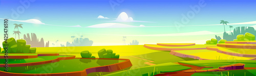 Asian rice field terraces in mountains landscape. Paddy plantation, cascades farm in mount of China, Vietnam, Thailand or Philippines, meadow with green grass scenery view, Cartoon vector illustration