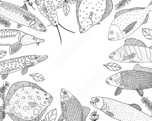 Frame, hand drawn river and sea fish, template for cafe, restaurant, market and shop. Vector illustration.