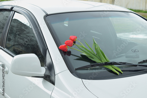 red tulips on the windshield of the car as a gift and declaration of love