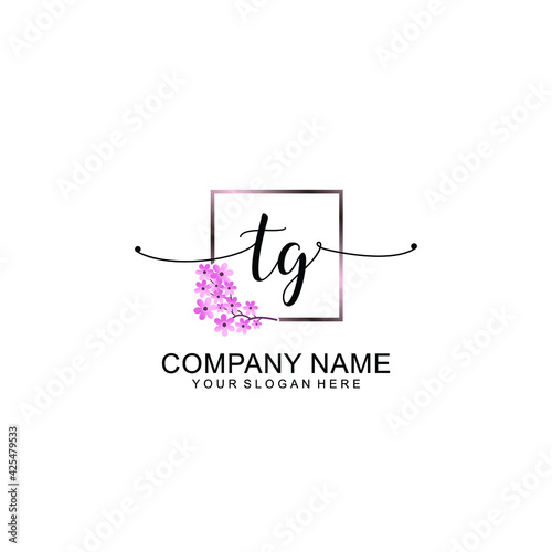 TG Initials handwritten minimalistic logo template vector