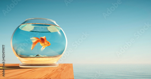 Foto Comfort zone