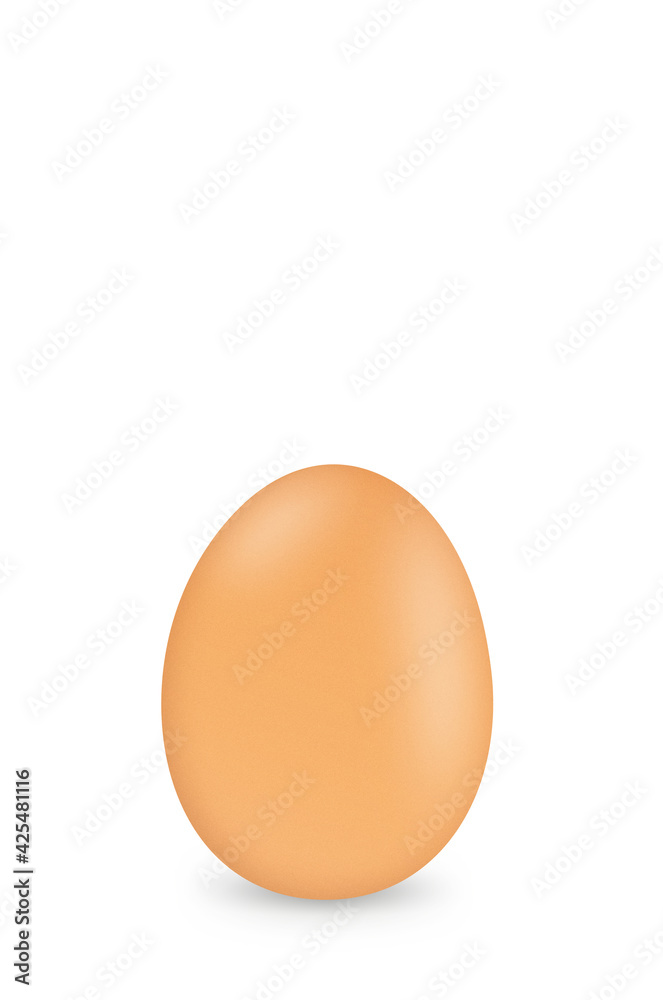 Egg close up isolated on white background.Copy space for text Egg close up isolated on white background.Copy space for text