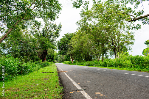 Country roads, take me home