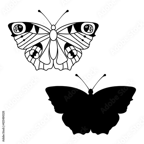 Butterfly peacock outline and silhouette on a white background